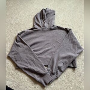 NWT Aritzia Cropped Hoodie